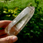 Smoky Lemurian Seed Quartz Crystal - 222g Record Keeper Starbrary from Brazil for sale
