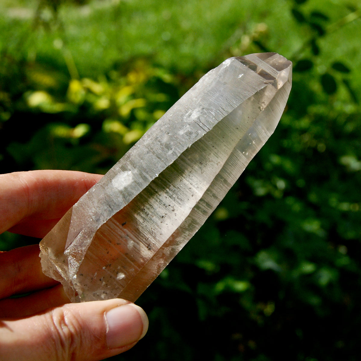 Smoky Lemurian Seed Quartz Crystal - 222g Record Keeper Starbrary from Brazil for sale