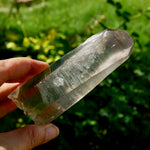 Smoky Lemurian Seed Quartz Crystal - 222g Record Keeper Starbrary from Brazil for sale