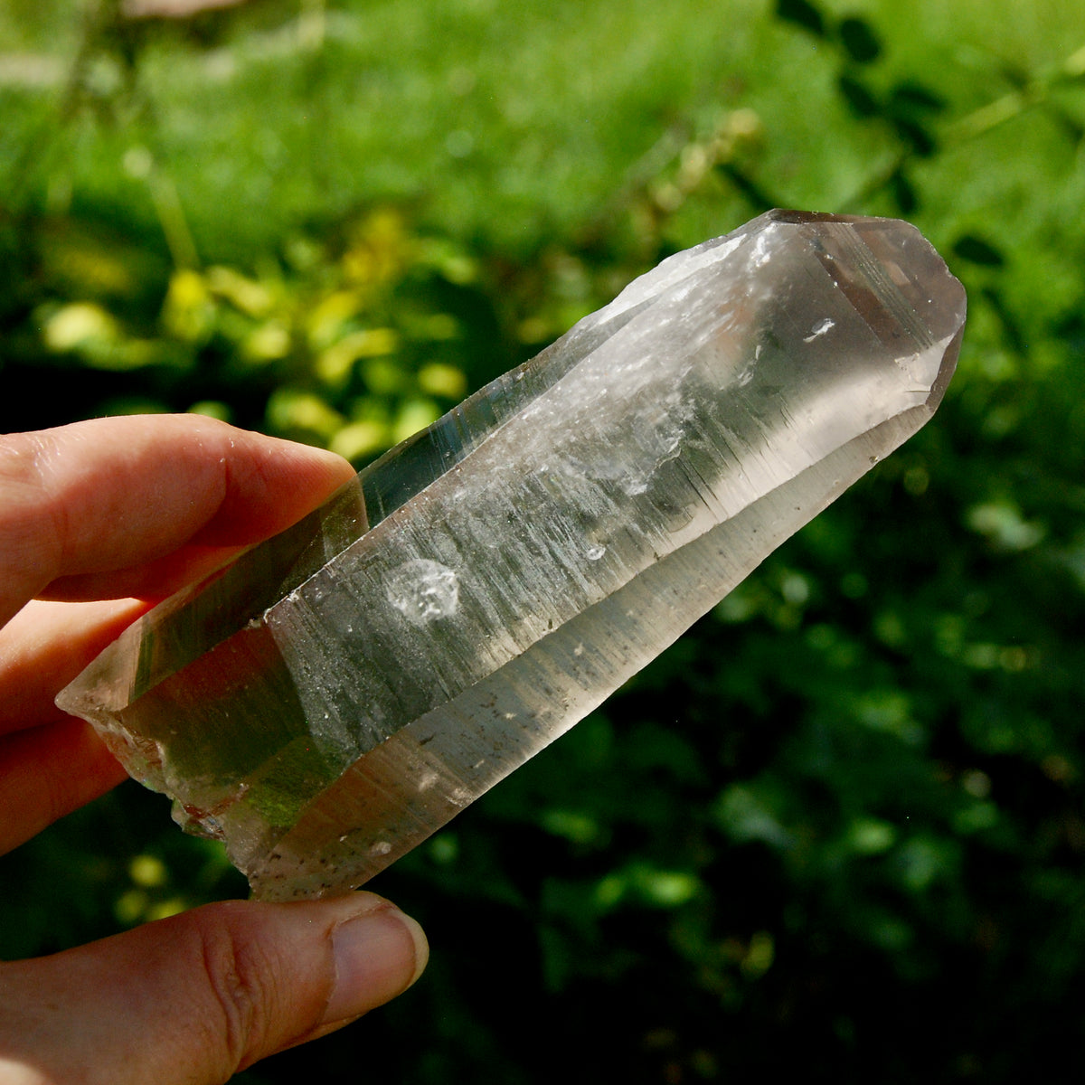 Smoky Lemurian Seed Quartz Crystal - 222g Record Keeper Starbrary from Brazil for sale