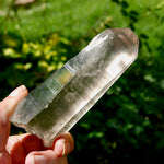 Smoky Lemurian Seed Quartz Crystal - 222g Record Keeper Starbrary from Brazil for sale