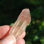 Dow Channeler Pink Lithium Lemurian Crystal Starbrary for sale 
