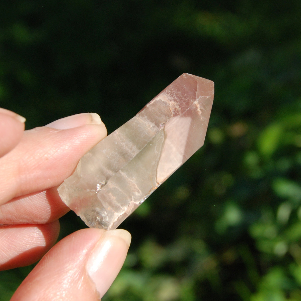 Dow Channeler Pink Lithium Lemurian Crystal Starbrary for sale 