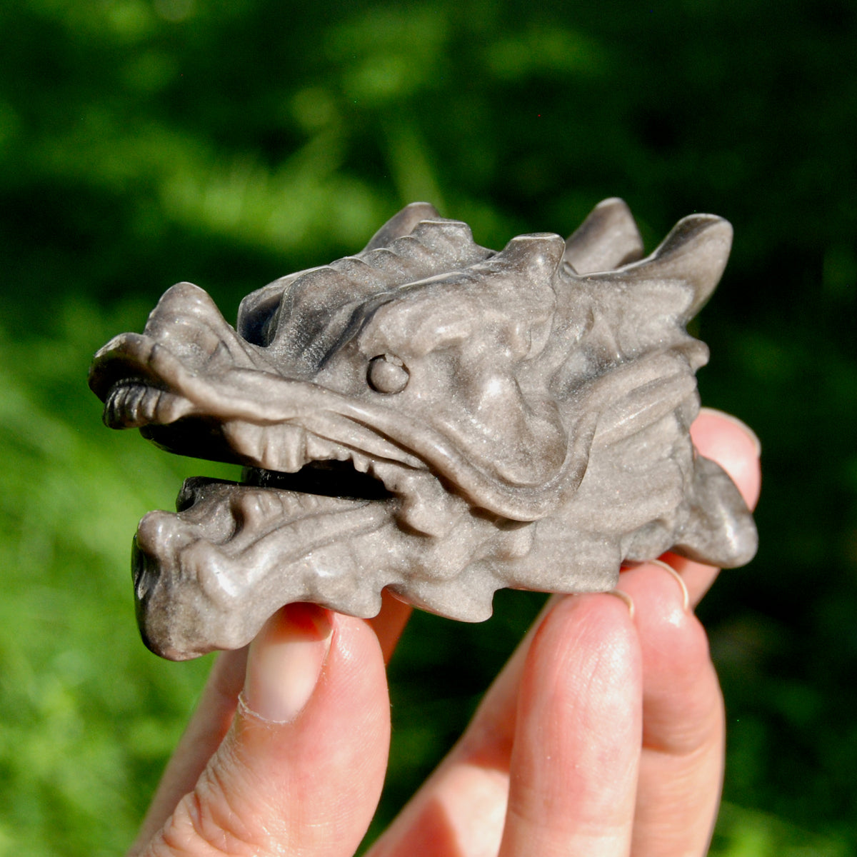 Silver Sheen Obsidian Crystal Dragon Head for sale