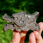 Silver Sheen Obsidian Crystal Dragon Head for sale