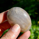 Blue Rose Quartz Crystal Palm Stone 2in for sale