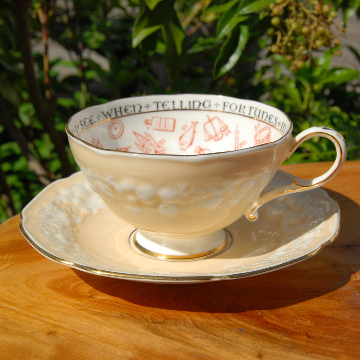 Antique Paragon Cup of Knowledge Fortune Telling Teacup c1935