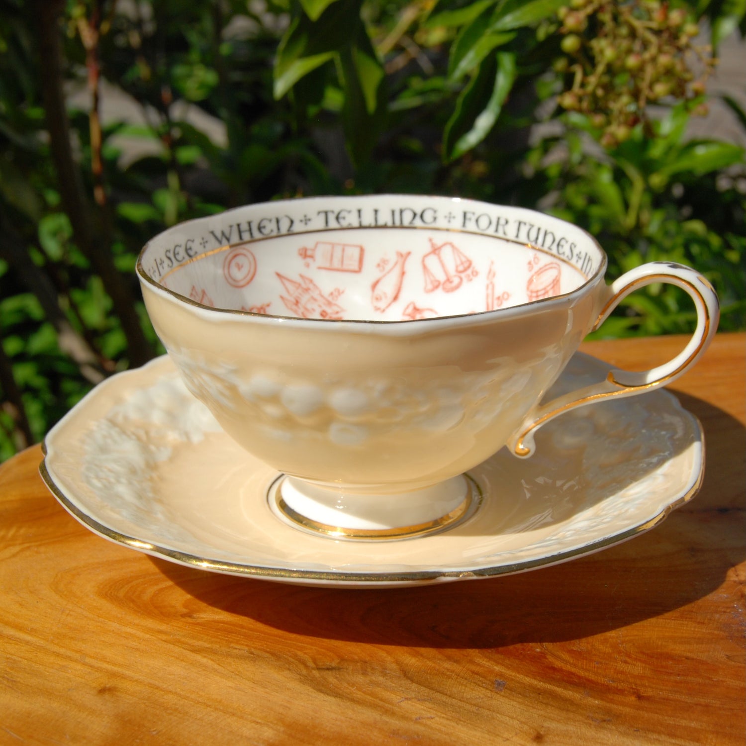 Antique Paragon Cup of Knowledge Fortune Telling Teacup c1935