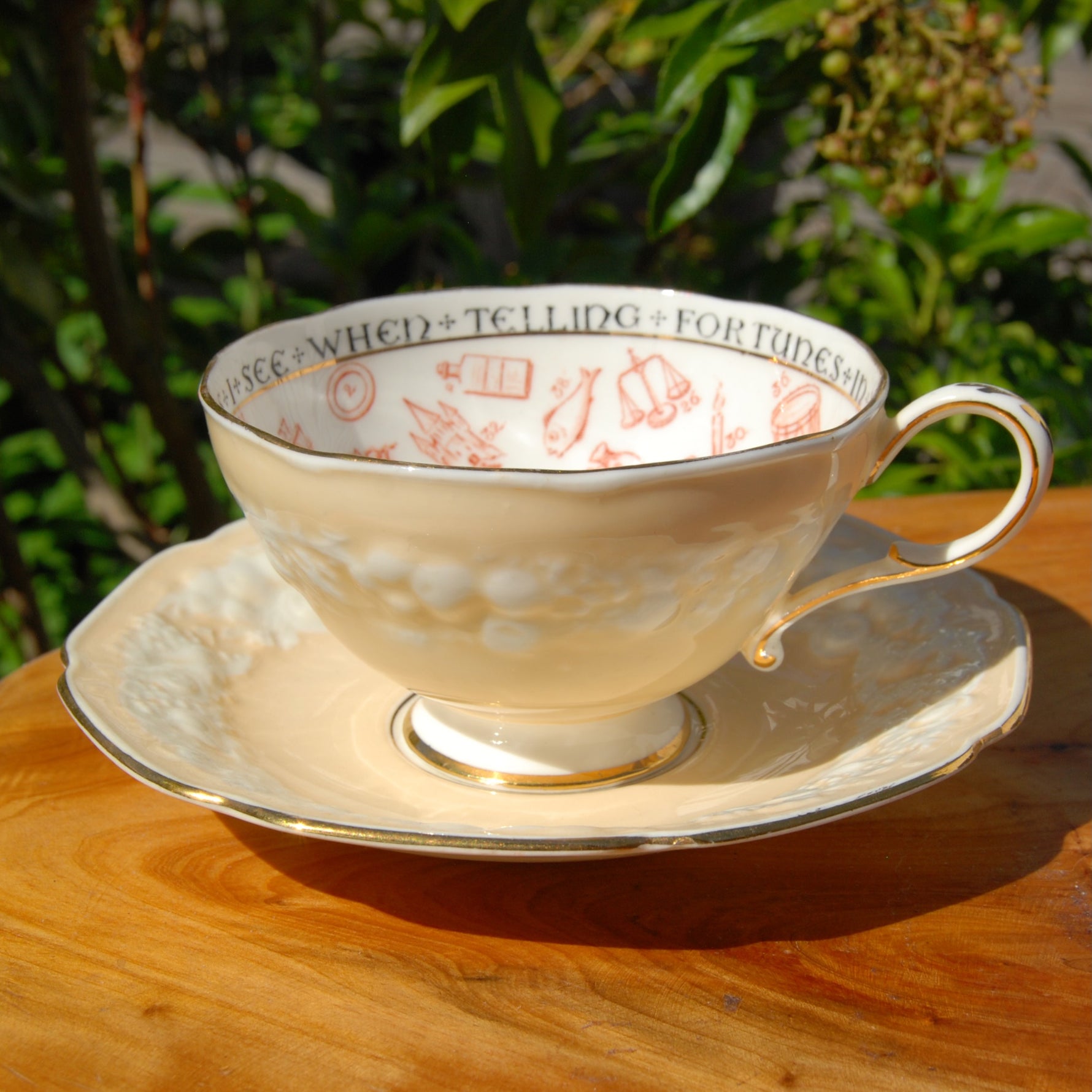 Antique Paragon Cup of Knowledge Fortune Telling Teacup c1935