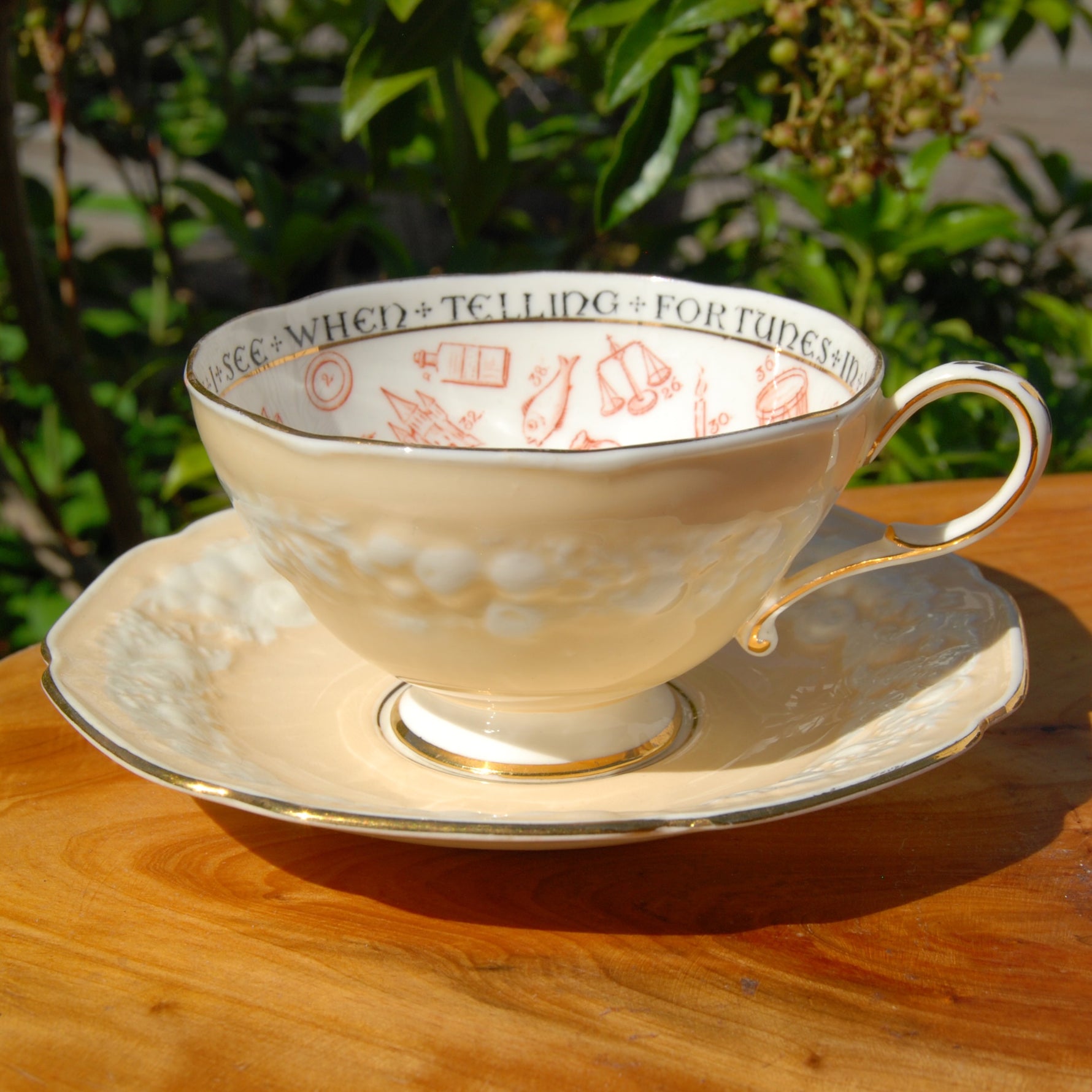 Antique Paragon Cup of Knowledge Fortune Telling Teacup c1935