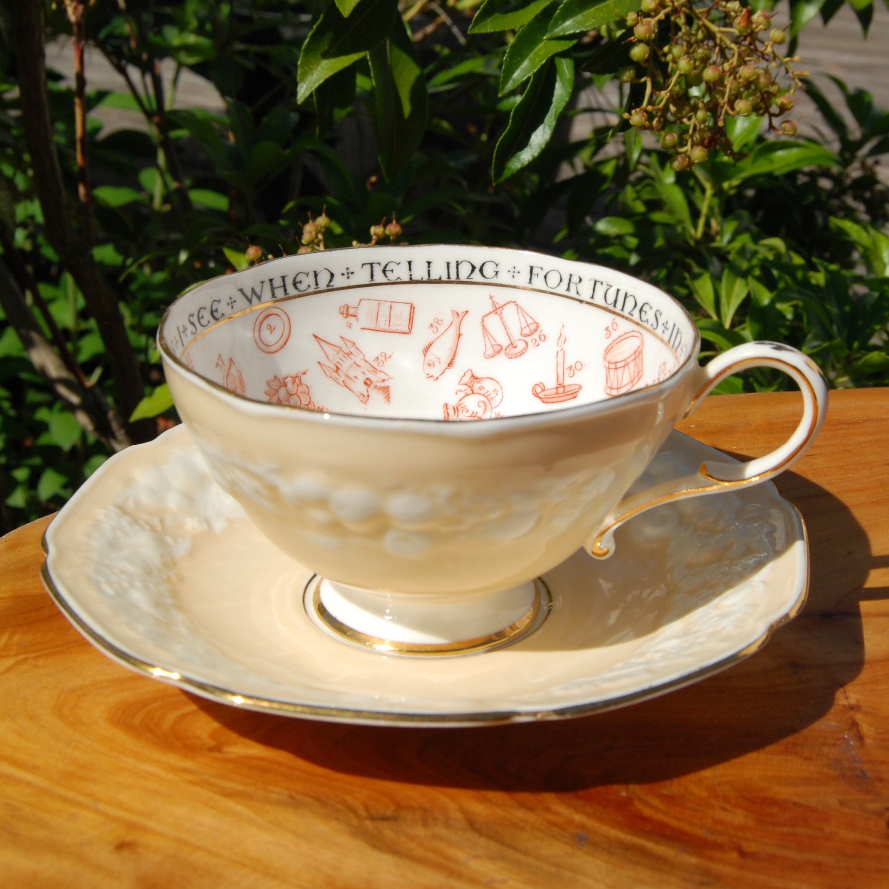 Antique Paragon Cup of Knowledge Fortune Telling Teacup c1935