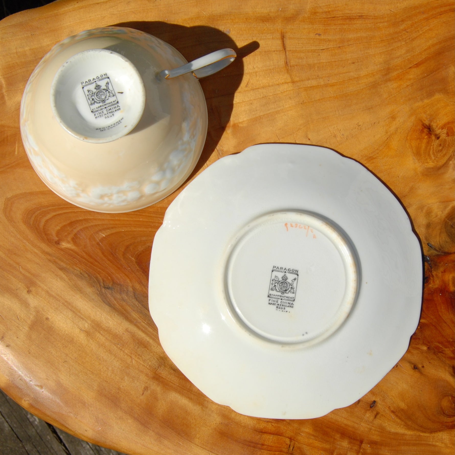 Antique Paragon Cup of Knowledge Fortune Telling Teacup c1935