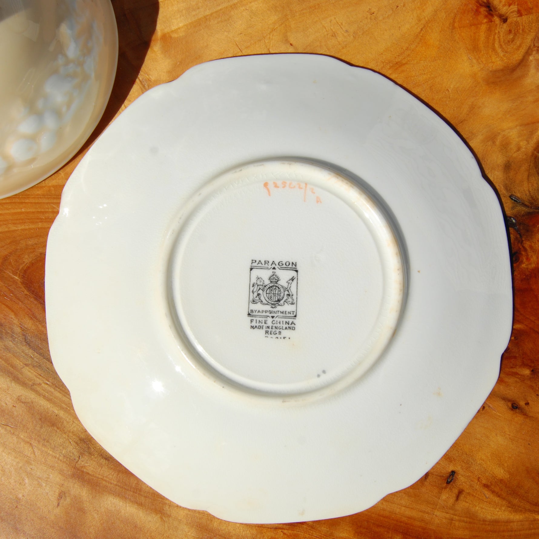 Antique Paragon Cup of Knowledge Fortune Telling Teacup c1935