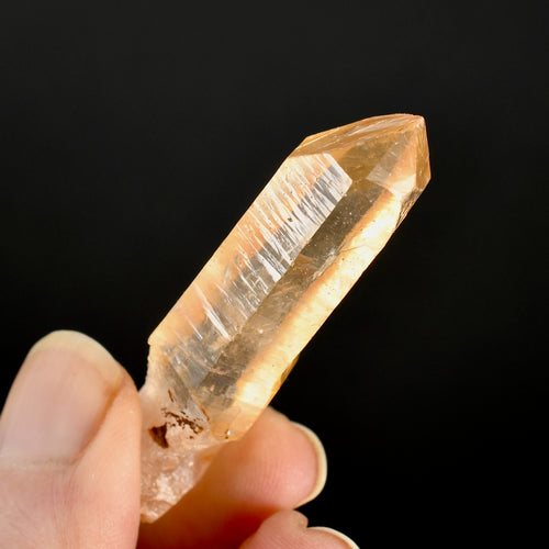 Golden Healer Lemurian Crystal