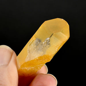 Golden Healer Lemurian Crystal