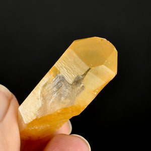 Golden Healer Lemurian Crystal