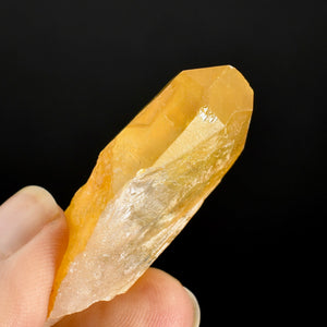 Golden Healer Lemurian Crystal