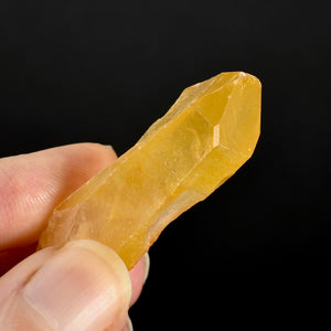 Golden Healer Lemurian Crystal