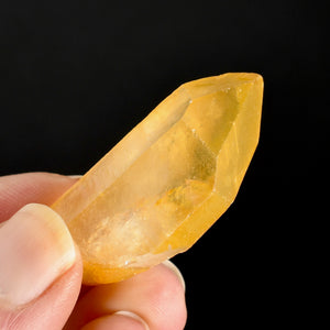 Golden Healer Lemurian Crystal