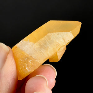 Golden Healer Lemurian Crystal