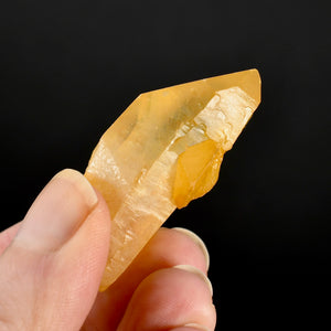 Golden Healer Lemurian Crystal