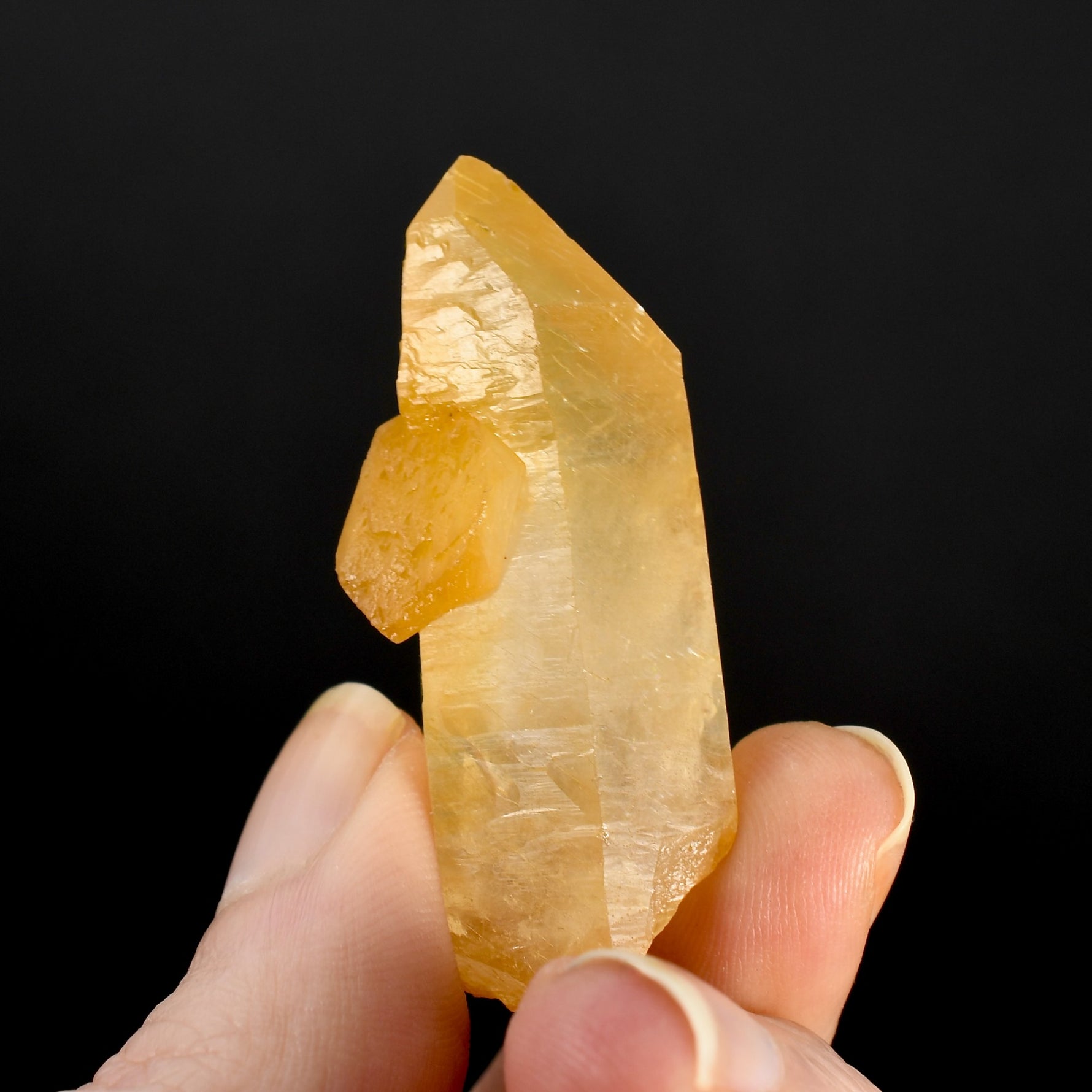 Golden Healer Lemurian Crystal