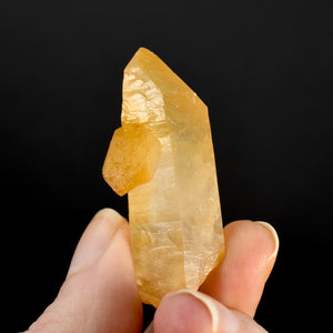 Golden Healer Lemurian Crystal