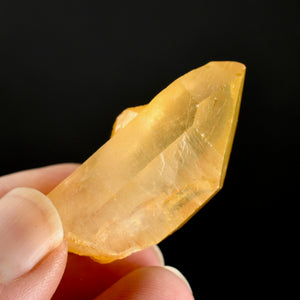 Golden Healer Lemurian Crystal