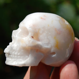 Sakura Agate Crystal Skull 