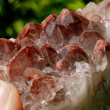 Load image into Gallery viewer, Phantom Pyramid Hematoid Quartz Crystal Cluster, Red Specular Hematite
