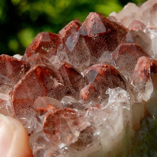 Phantom Pyramid Hematoid Quartz Crystal Cluster, Red Specular Hematite