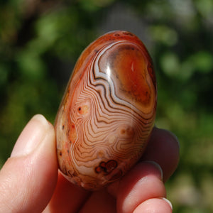 1.9in 76g Red Sardonyx Banded Agate Crystal Palm Stone, Madagascar bc3