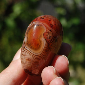 1.9in 76g Red Sardonyx Banded Agate Crystal Palm Stone, Madagascar bc3