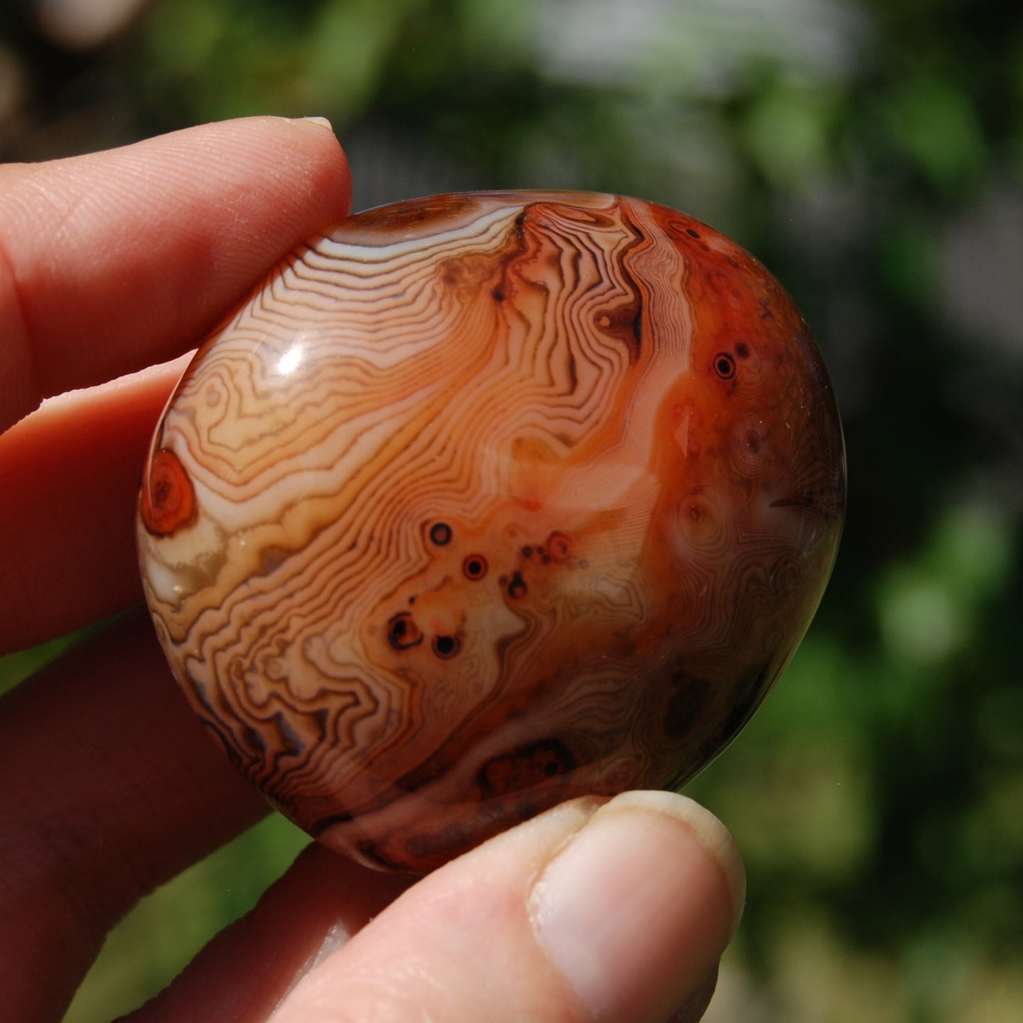 1.9in 76g Red Sardonyx Banded Agate Crystal Palm Stone, Madagascar bc3