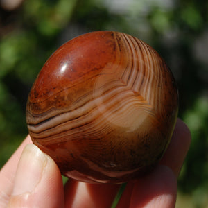 Red Sardonyx Banded Agate Crystal Palm Stone