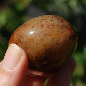 Red Sardonyx Banded Agate Crystal Palm Stone