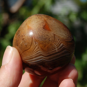 Red Sardonyx Banded Agate Crystal Palm Stone
