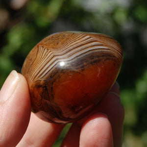 Red Sardonyx Banded Agate Crystal Palm Stone