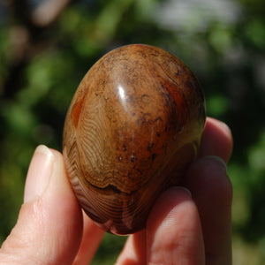 Red Sardonyx Banded Agate Crystal Palm Stone