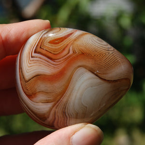 Red Sardonyx Banded Agate Crystal Palm Stone