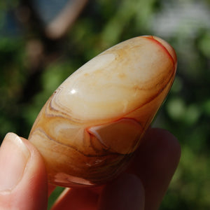 Red Sardonyx Banded Agate Crystal Palm Stone