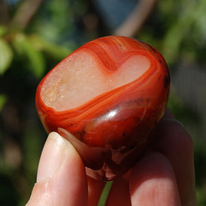 Red Sardonyx Banded Agate Crystal Palm Stone