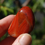 Red Sardonyx Banded Agate Crystal Palm Stone