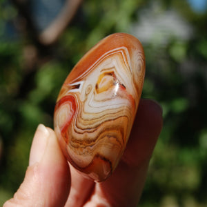 Red Sardonyx Banded Agate Crystal Palm Stone