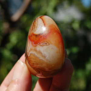 Red Sardonyx Banded Agate Crystal Palm Stone