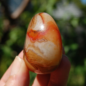 Red Sardonyx Banded Agate Crystal Palm Stone