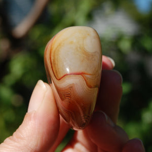 Red Sardonyx Banded Agate Crystal Palm Stone