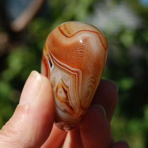 Red Sardonyx Banded Agate Crystal Palm Stone