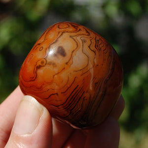 Banded Agate Crystal Palm Stone