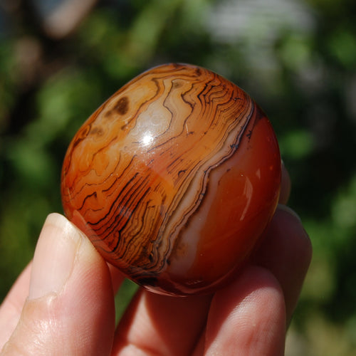 Banded Agate Crystal Palm Stone